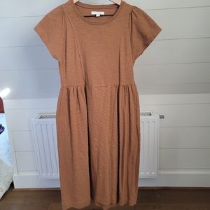 Rust Midi Dress with Flutter Sleeve